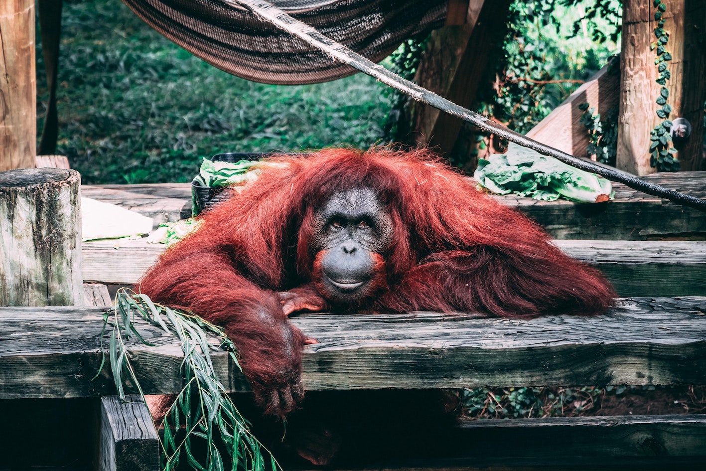 How we became the world’s first Certified Palm Oil Free sunscreen company